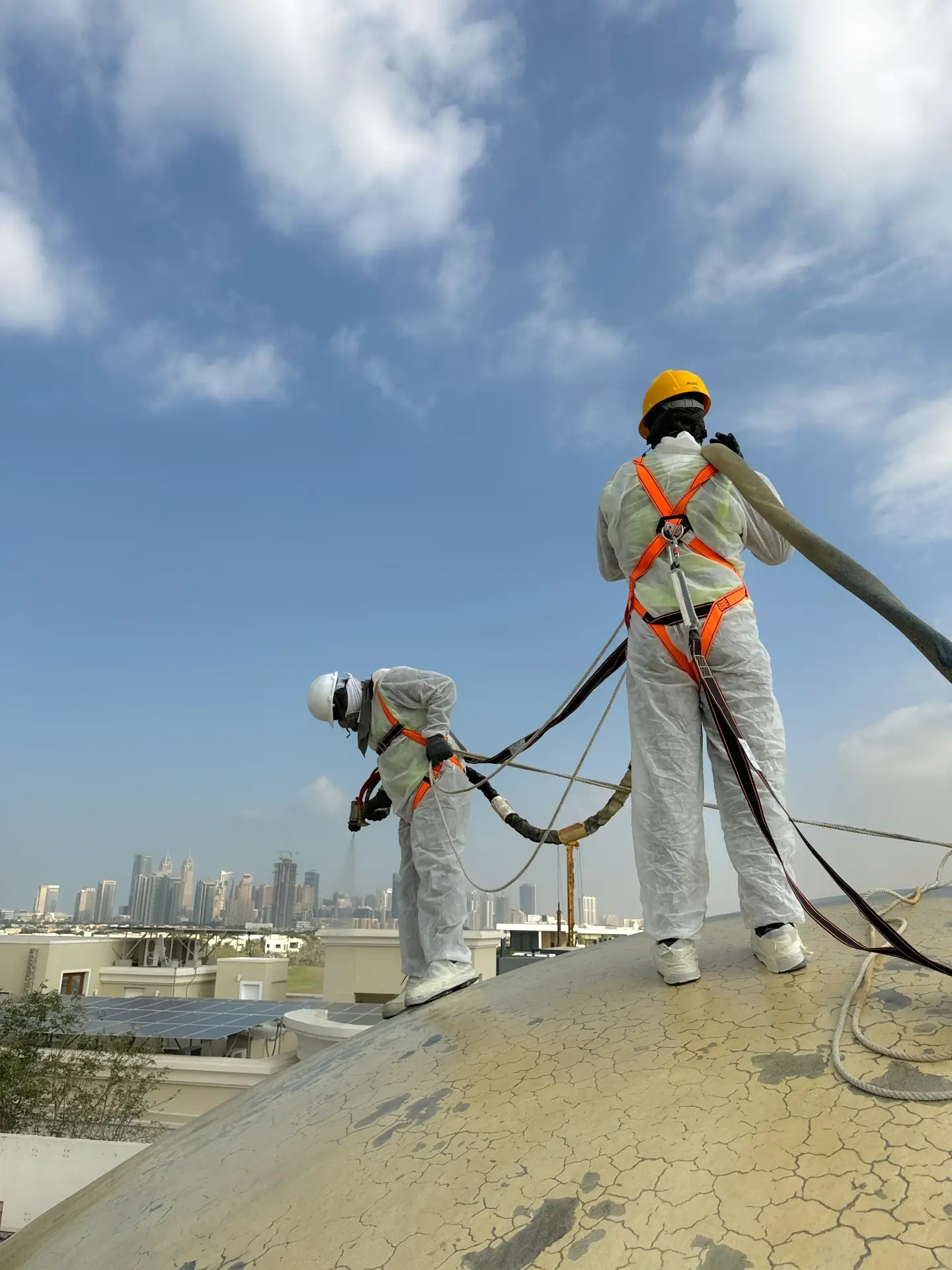 Dome protection — Arabian Ranches, Dubai